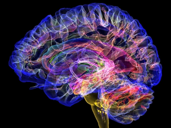 襙逼网视频大脑植入物有助于严重头部损伤恢复